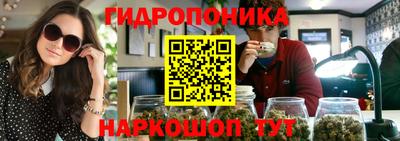 PSILOCYBIN Нальчик