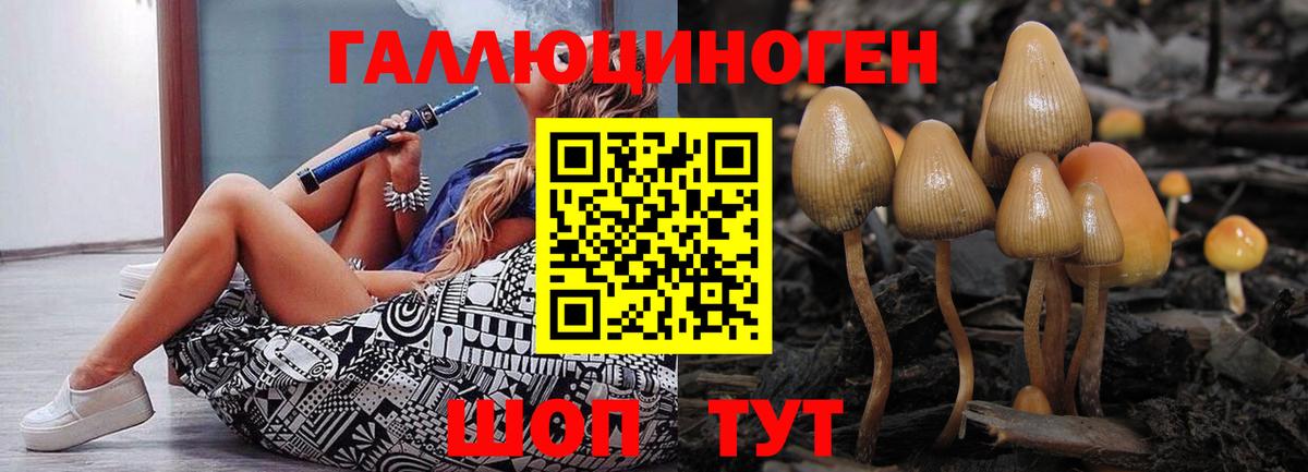 Галлюциногенные грибы мухоморы Урай
